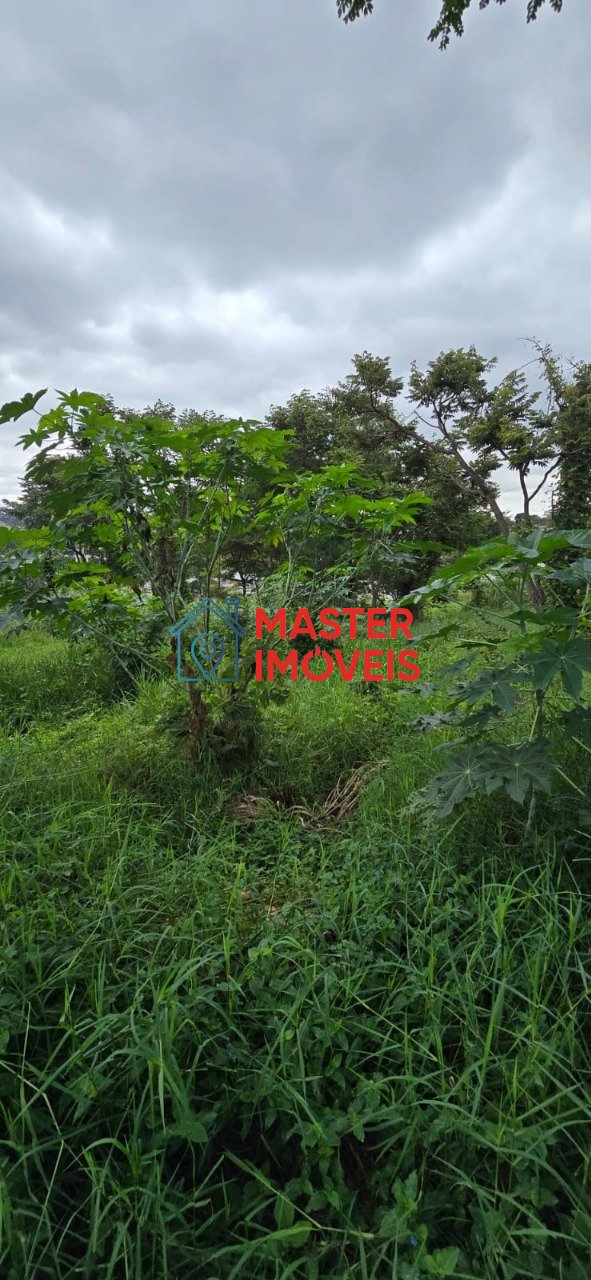 Imagem da propriedade MST5149 1